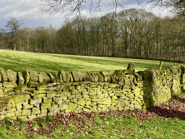 Dry stone walling for beginners
